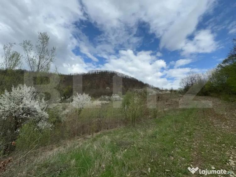 Vand 17 ha teren extravilan, Carmazanesti - 2
