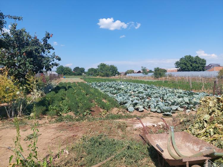 Zona Sarbi – Targoviste - 4