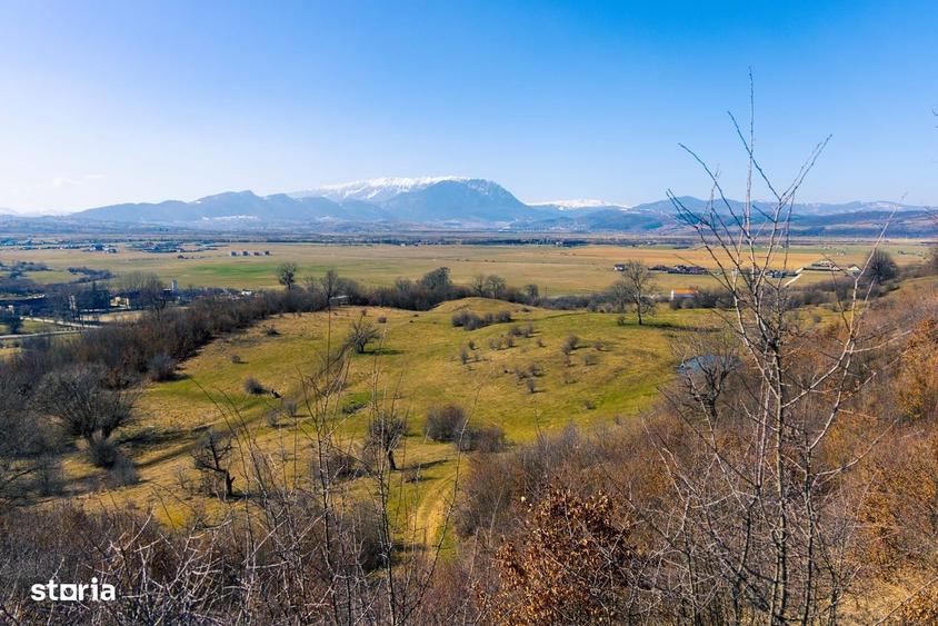 Teren 6 Hectare cu PUZ pentru Resort Turistic panorma Muntii Piatra Cr - 2