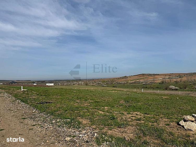 Teren intravilan 700 mp de vanzare in Paleu - 1