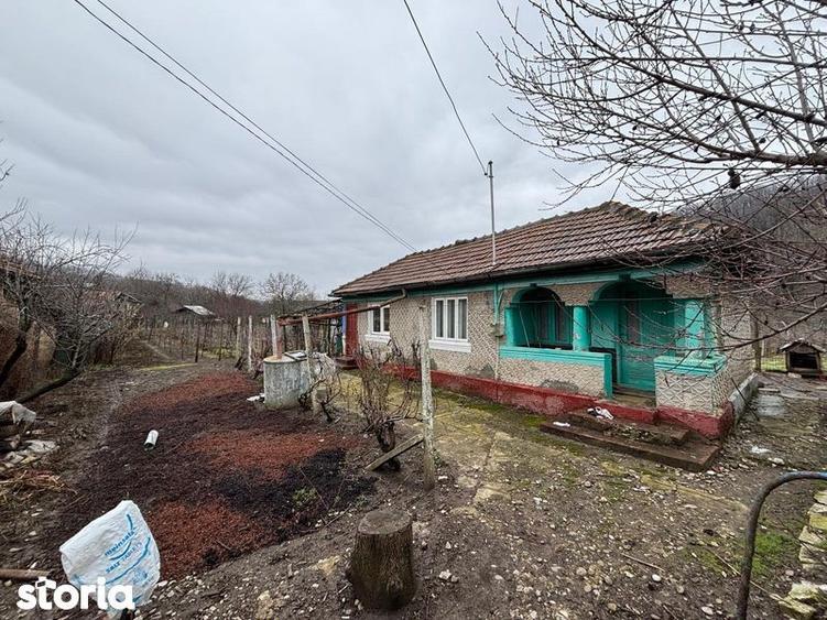 Teren+casa batraneasca+ teren agricol - 2