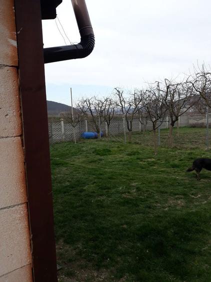 Vind casa in Mintia - 2