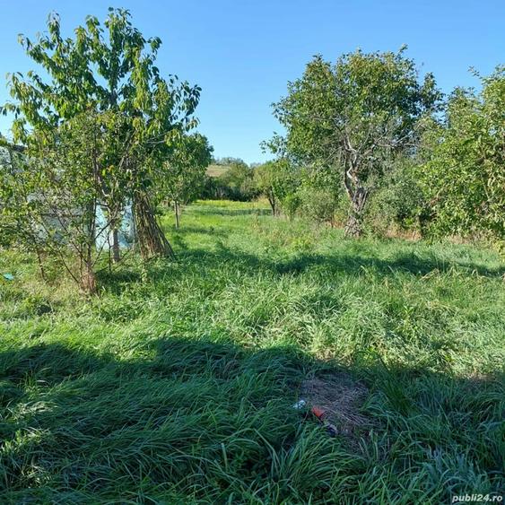 Casa batraneasca, Comuna Horle?ti ( Voine?ti ) - 1