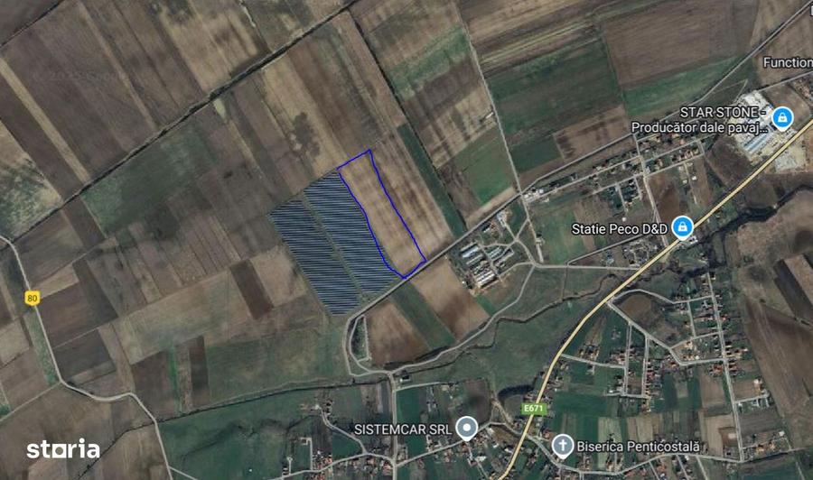 Teren agricol de 65516 mp in Nojorid/ Oradea/ Bihor - 2