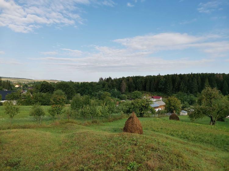 Vand teren intravilan cu casa 7400 mp in Sasca Mare, Suceava - 12