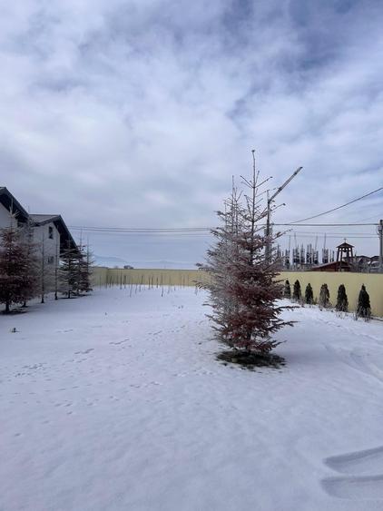 De vanzare teren intravilan in Tarlungeni , Str Izvorului , jud Brasov - 3