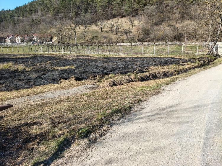 Vand teren intravilan Buciumi, 500e/ar fix. - 4