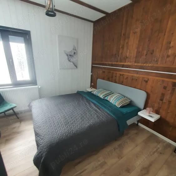 Casa de lemn - Locuinta sau Afacere la cheie - 8