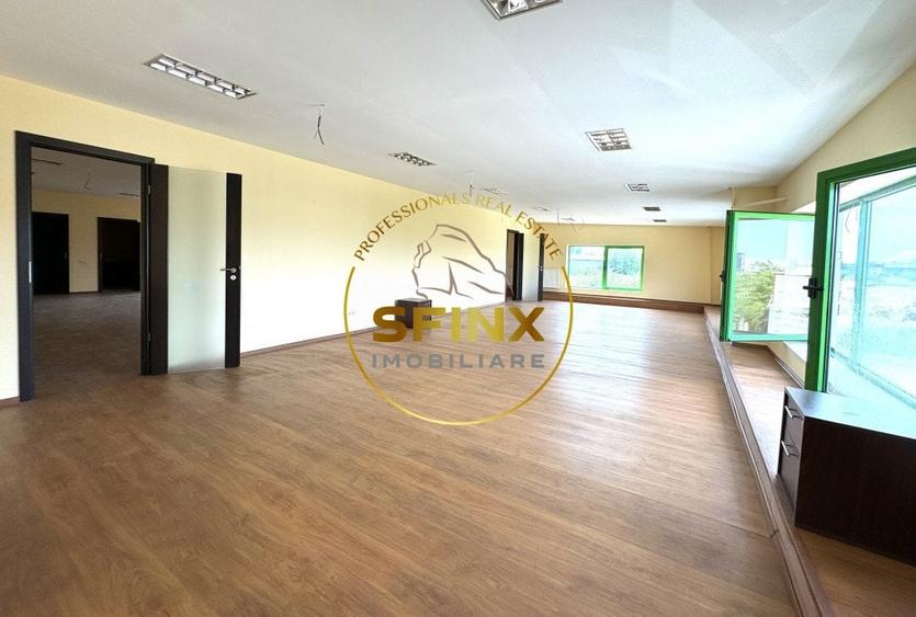Hala si birouri zona Mogosoaia sos Odai - 7