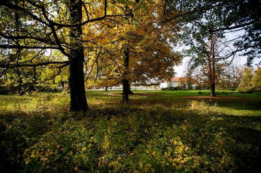 De vanzare Domeniu Baronial SAT CIL - 6