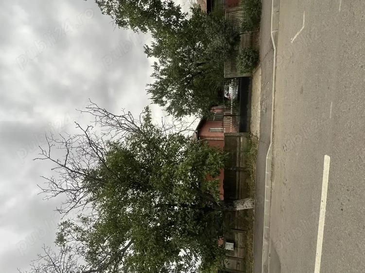 Casa de vanzare cartier Magurele Turnu Magurele - 8