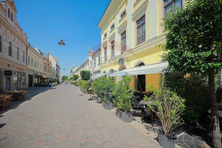 De vanzare -- Spatiu comercial parter 409 mp, Vasile Alecsandri - 38