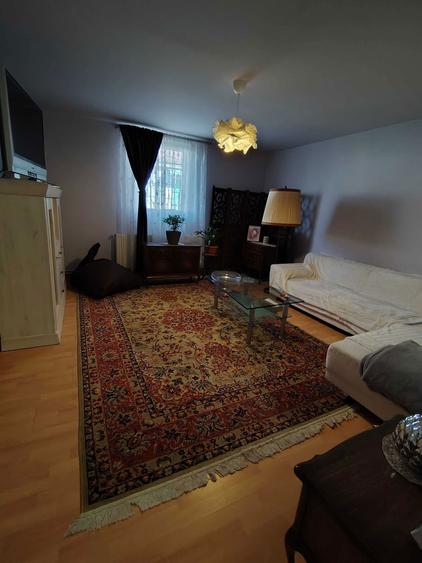 Vand casa in satul Ianova, la 20 km de Timisoara - 3