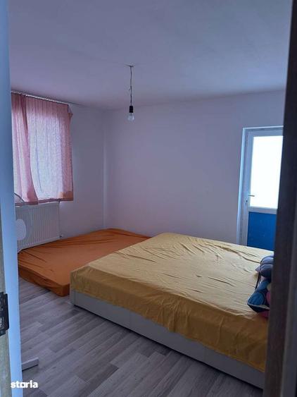 Proprietate cu 2 case in Gura Vaii la doar 10 km de Dr. Tr. Severin - 6