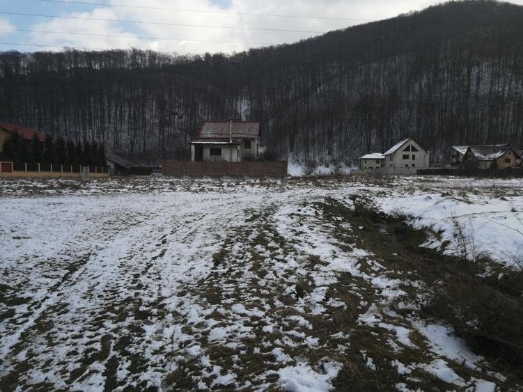 Teren de vanzare - 5