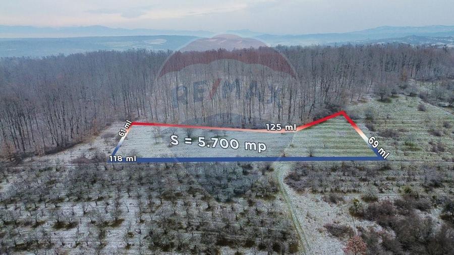 Teren 5,700mp Somcuta Mare / investitie cu potential major - 6