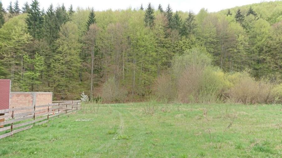 Teren de vanzare la munte valea bozumului - 5