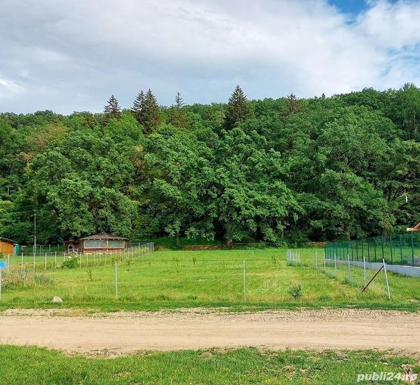 Teren intravilan Cristian, Brasov, canalizare, curent, apa, proprietar - 2