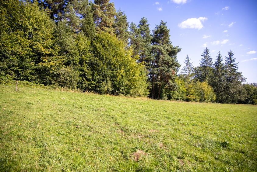 Investitie premium in turism-teren 6800mp langa lacuri Vulcan Brasov - 6