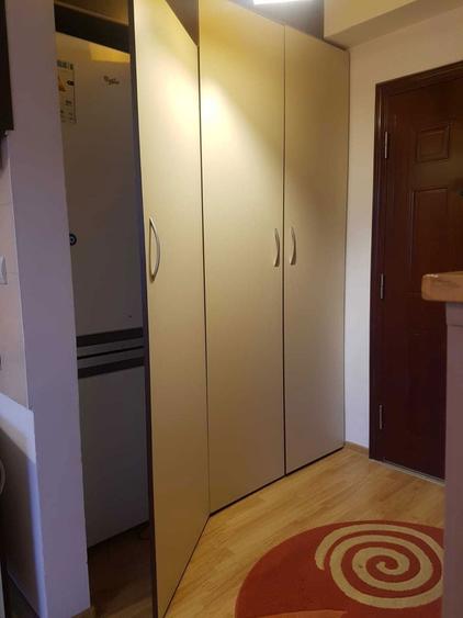 Apartament cu 1 camera de inchiriat, spatios, complet utilat Calea Baciului / Baciu / blocurile de deasupra de Pet - 8