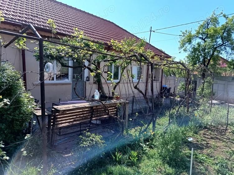 Casa cu 3 camere ,bucatarie,baie situata la 8,5 km de Selgros Craiova cu teren 1150 mp - 8