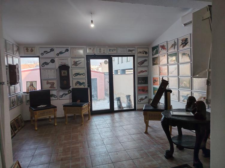 VILA 450 MP UTILI, MOBILATA BIROURI, CURTE 400 MP, 7 LOCURI PARCARE, - 2