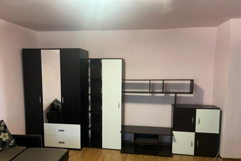 Apartament cu o camera Sagului - 13