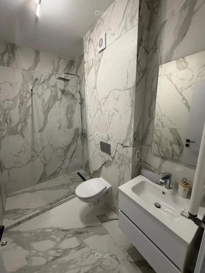 brancoveanu berceni odei cavar - 4