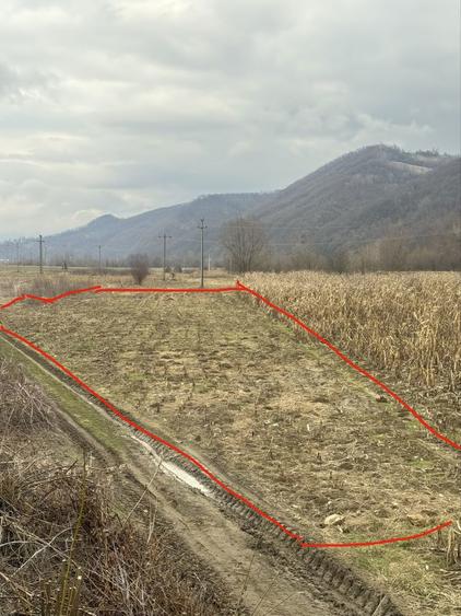Teren de vanzare pe sesul Rebrisorii - 3