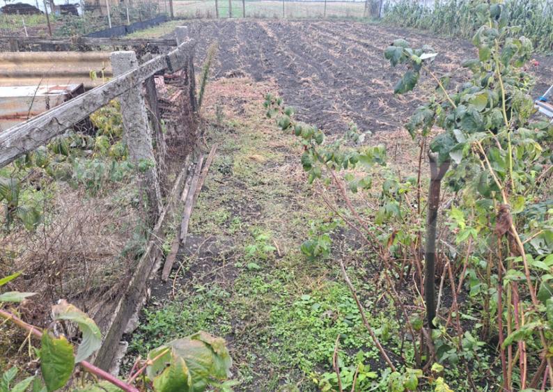 Vand casa cu teren generos Halchiu, aproape de Bra?o - 4