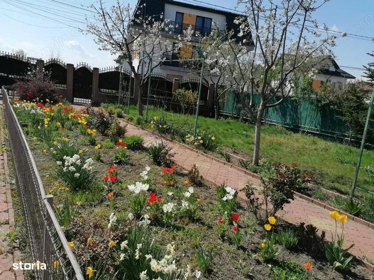 Vila Otopeni, vis-a-vis Primarie - 2