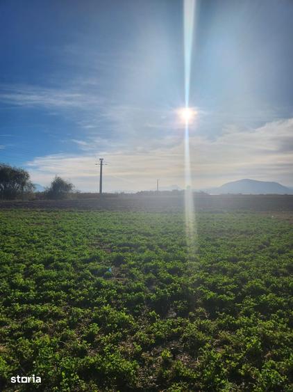 Teren de 510 mp, în Hălchiu