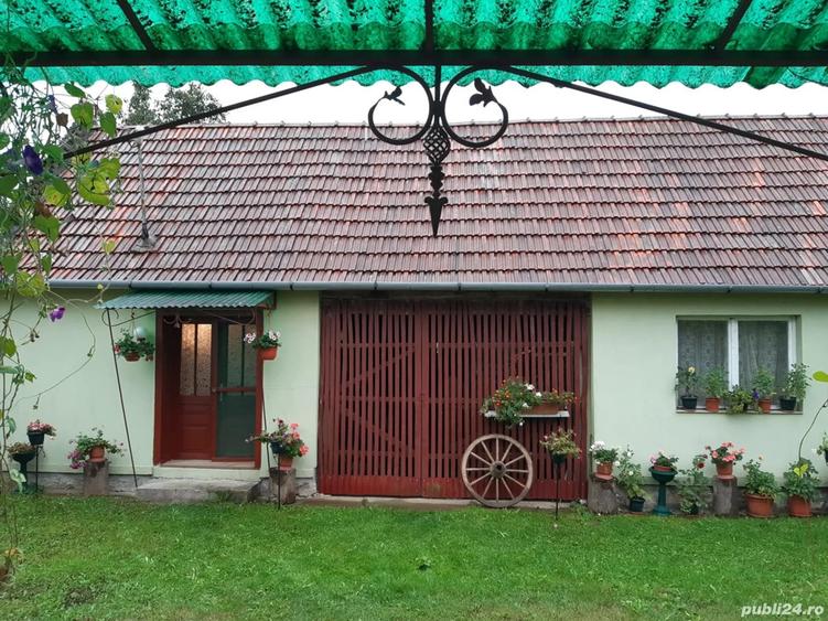 Casa de vanzare in sat Capalnas, comuna Birchis - 10