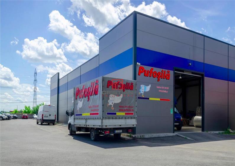 Depozit/hala/spatiu industrisl Jilava - Giurgiului - Progre - 6
