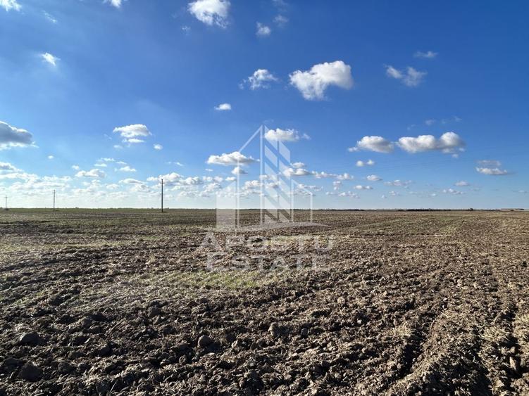 Teren 98.503 mp, intravilan, ideal parc fotovoltaic, Peciu Nou. - 1