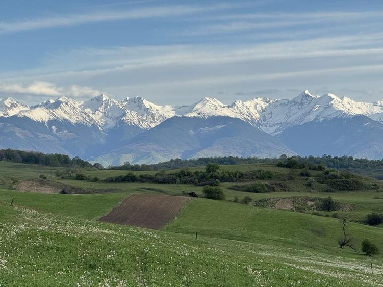 Casă cu 4 camere în Săsăuș