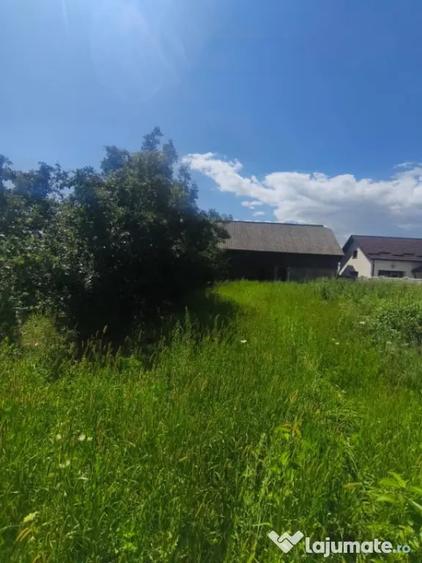 Teren de 10000 mp, în Măneuți