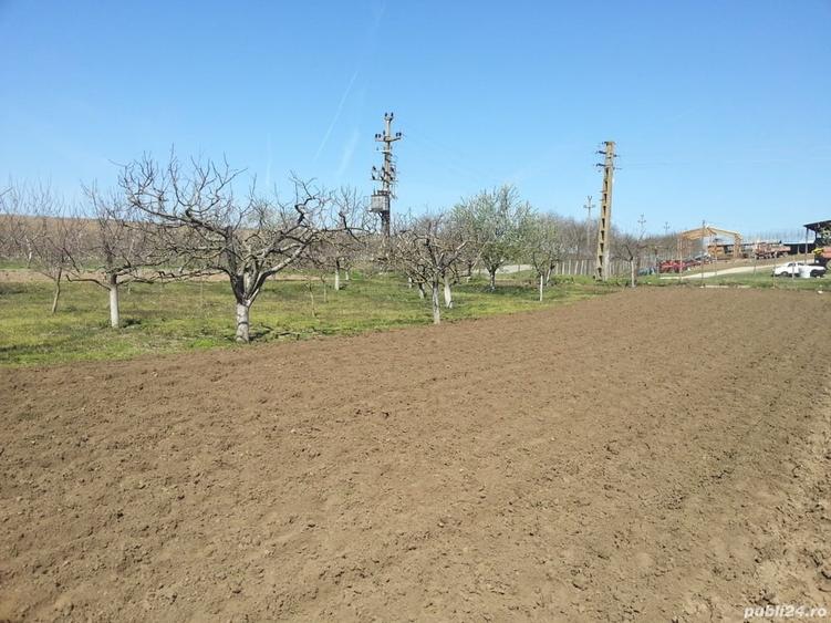 Casă cu 3 camere în Bugeac