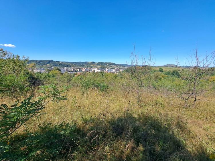 Teren 4647mp intravilan in spatele Spitalului Județean Reșița - 4
