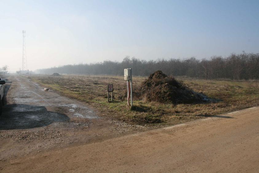teren zona selgros damila capsunarie vama craiova - 8