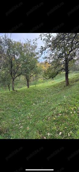 Casa cu 48 arii teren chiuzbaia ! - 5