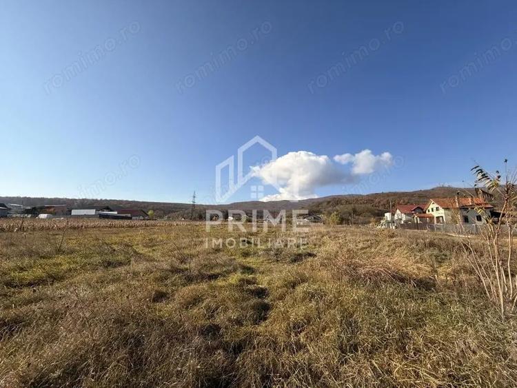 TEREN INTRAVILAN PANORAMIC 550 MP, ZONA PENNY MICESTI, ALBA IULIA - 1