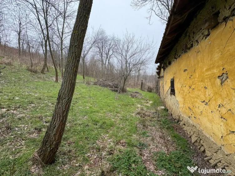 Teren 2.038 mp + Casa 50 mp de vanzare Sat Luncsoru, C - 10
