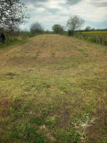 Teren intravilan de vanzare sat stancesti - 1