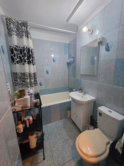 Piata Muncii, 15 minute metrou, Campia Libertatii, chiar pe Petrascu - 7