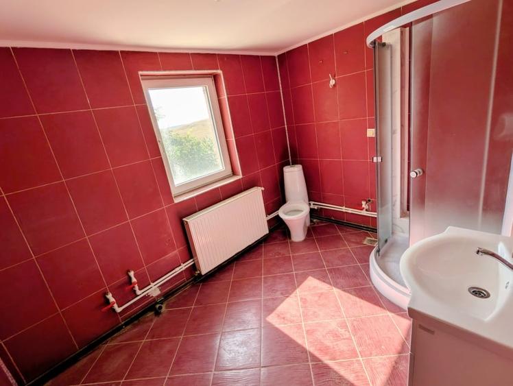 Casa individuala 5 camere P+M 196 mpt + 1200 mp teren asfalt - Horlesti (Rediu) - 16