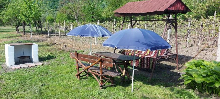 Vand casa ?i gradina - 4