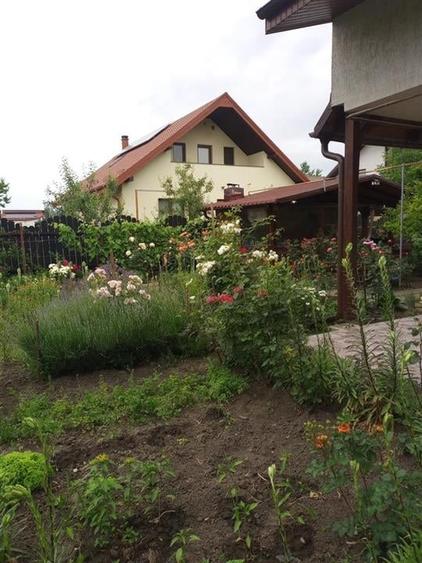 Bacau ,  Vila, la 5 minute de Centrul Orasului - 2