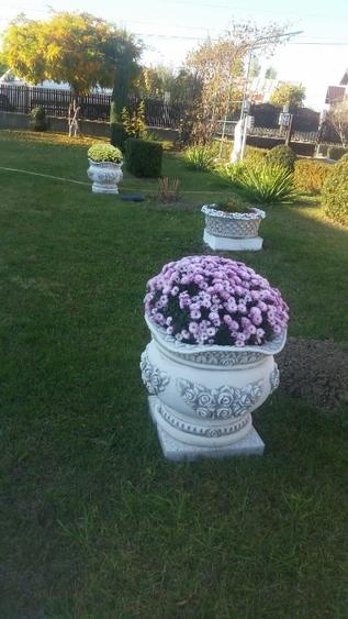 Ploiesti Puchenii Mari - Odai, la 15 km de Ploiești și 40 km de Buc - 4