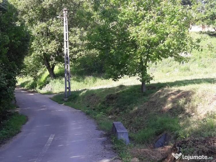 Vand Teren la poalele padurii - ideal casa de vacanta 3.300 mp - 4